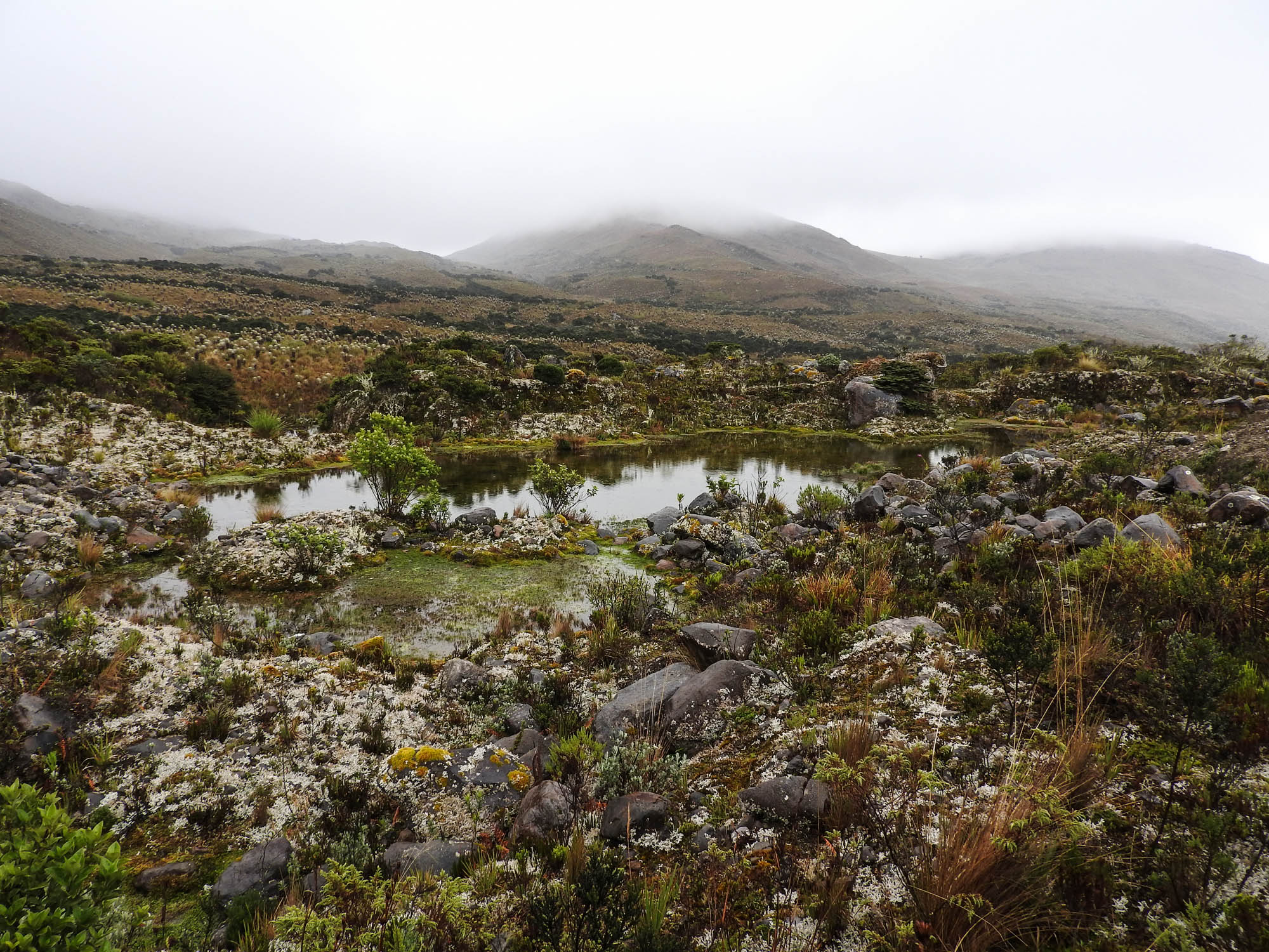Sumapaz Colombia Infinita