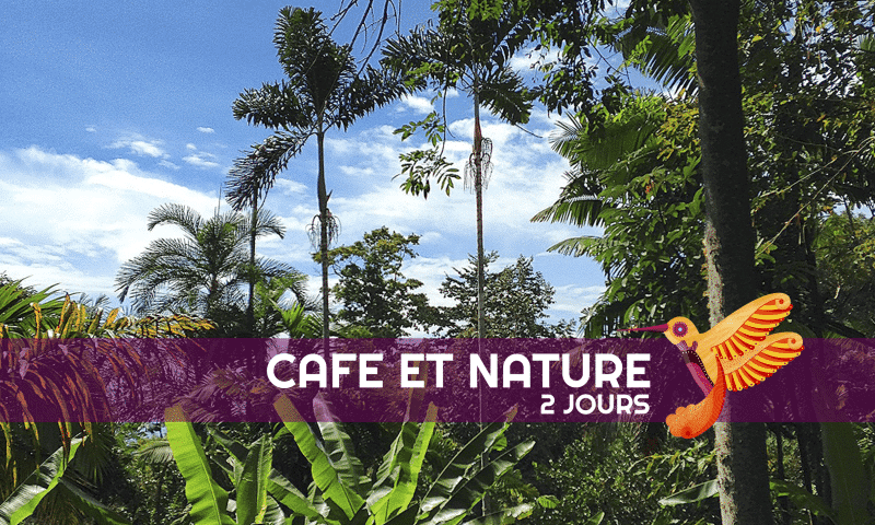 Café et Nature