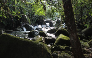 Les réserves naturelles en Colombie