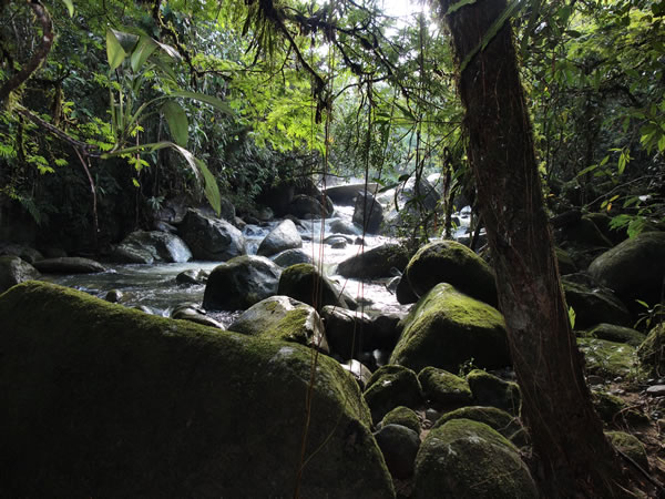 Les réserves naturelles en Colombie
