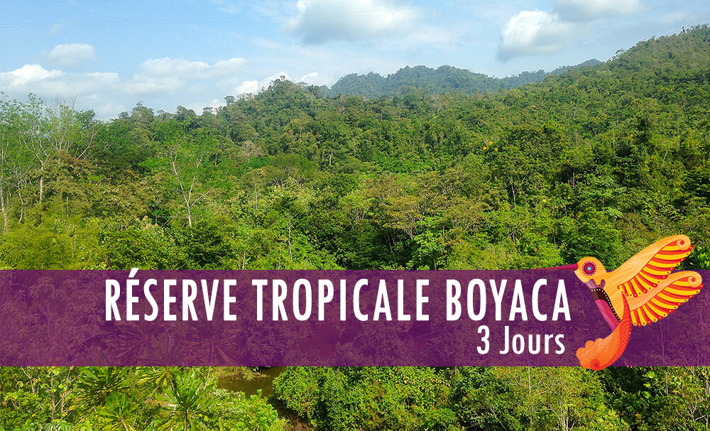 Réserve tropicale Boyaca
