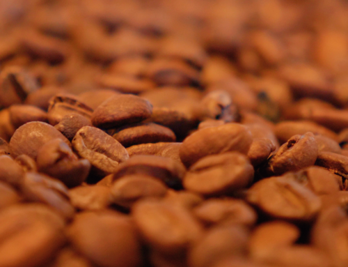 Le café et le cacao en Colombie