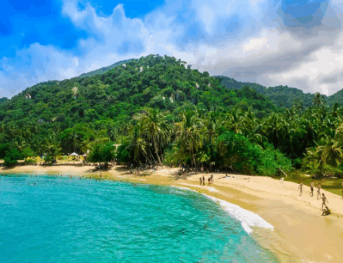 Parc Tayrona : À la découverte du joyau sauvage de la Colombie