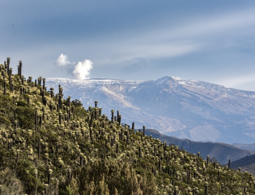 Trek et randonnée en Colombie : les plus beaux itinéraires entre jungle, montagnes et volcans